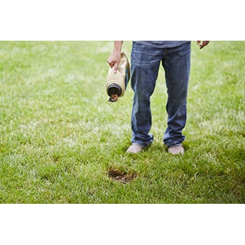 Scotts EZ Seed Dog Spot Repair Tall Fescue Lawns - 2 lb., Combinat...