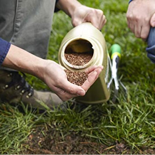 Scotts EZ Seed Dog Spot Repair Tall Fescue Lawns - 2 lb., Combinat...