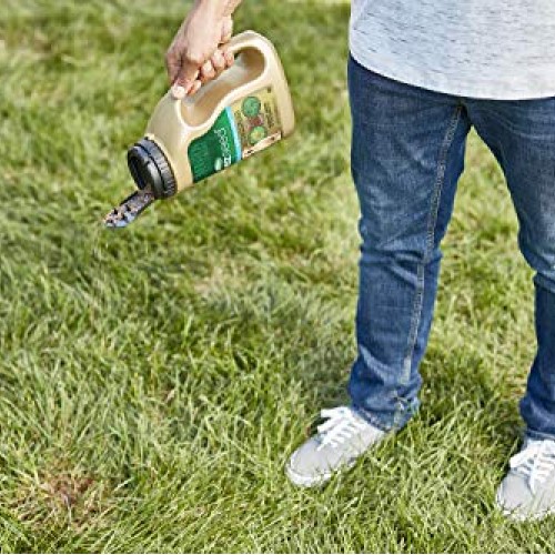 Scotts EZ Seed Sun & Shade 17530 Dog Spot Repair, 2 LB