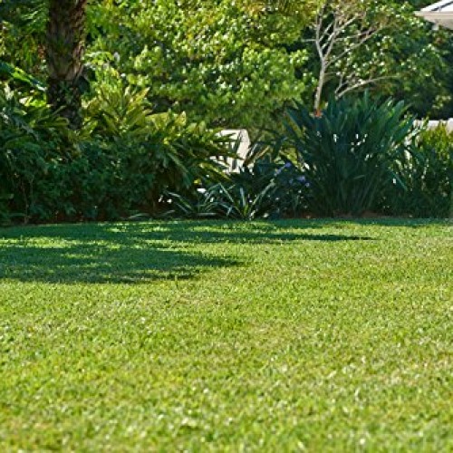 Scotts Southern Turf Builder Lawn Food, 15,000 sq. ft.