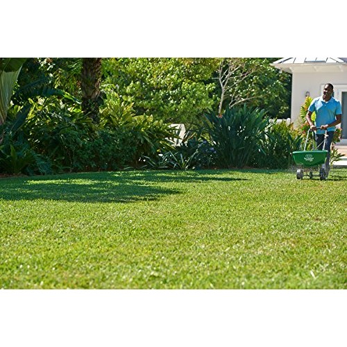 Scotts Southern Turf Builder Lawn Food, 15,000 sq. ft.