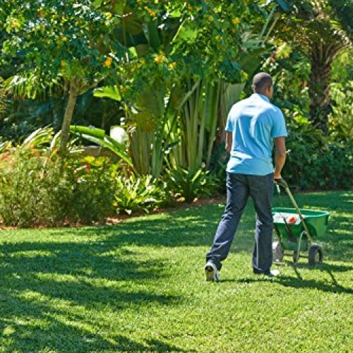 Scotts Southern Turf Builder Lawn Food, 15,000 sq. ft.
