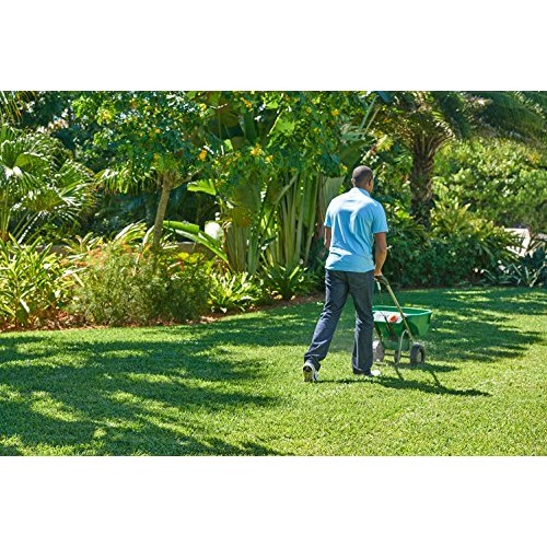 Scotts Southern Turf Builder Lawn Food, 15,000 sq. ft.