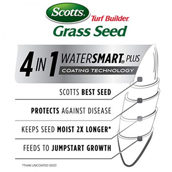Scotts Turf Builder Grass Seed Bermudagrass, 10 lb. - Full Sun - B...