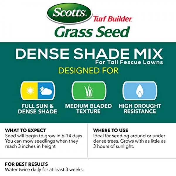 Scotts Turf Builder Grass Seed - Dense Shade Mix for Tall Fescue L...