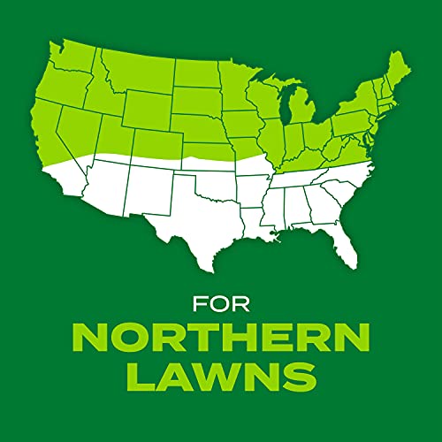 Scotts Turf Builder Rapid Grass Sun & Shade Mix: up to 2,800 sq. f...