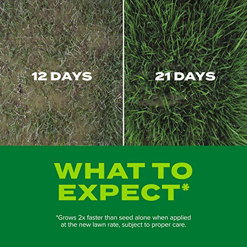 Scotts Turf Builder Rapid Grass Sun & Shade Mix: up to 2,800 sq. f...