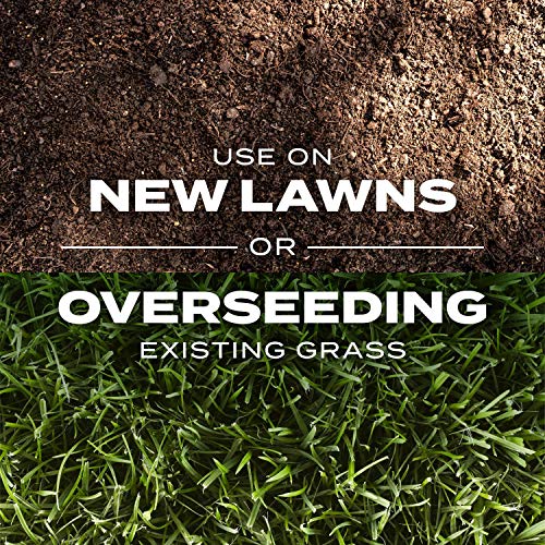 Scotts Turf Builder Rapid Grass Sun & Shade Mix: up to 2,800 sq. f...