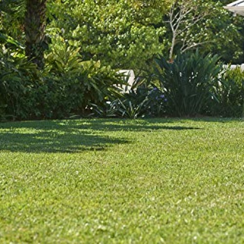 Scotts Turf Builder Southern Lawn Food, 5,000 sq. ft.