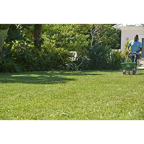 Scotts Turf Builder Southern Lawn Food, 5,000 sq. ft.