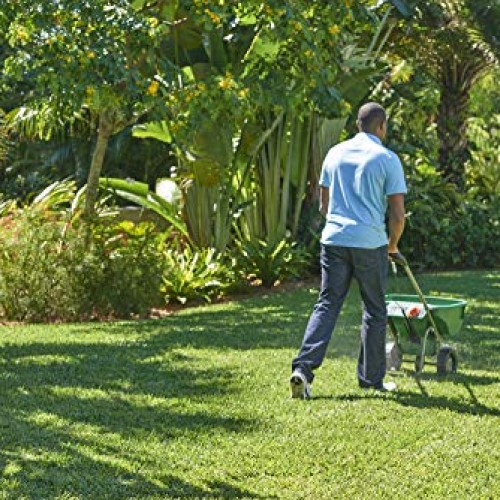 Scotts Turf Builder Southern Lawn Food, 5,000 sq. ft.
