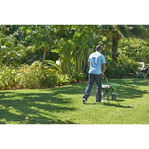 Scotts Turf Builder Southern Lawn Food, 5,000 sq. ft.