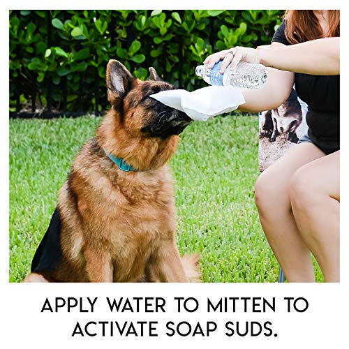 No Rinse Pet Wipes- for Pet Bathing, Pet Grooming, and Pet Washing...