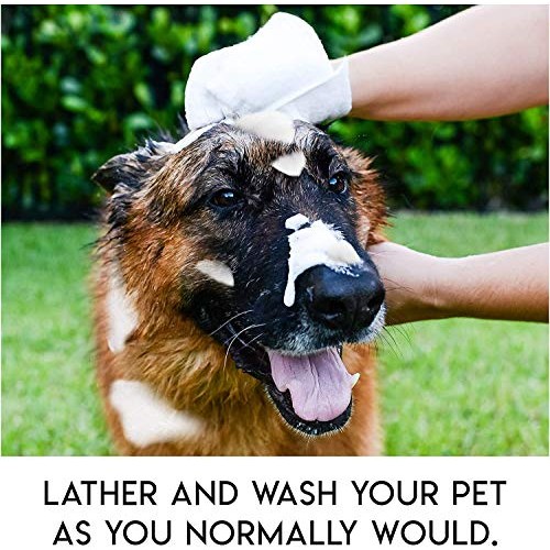No Rinse Pet Wipes- Use for Pet Bathing, Pet Grooming, and Pet Was...