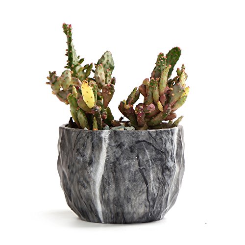 Sun-E Modern Style Marbling Ceramic Flower Pot Succulent/Cactus Pl...