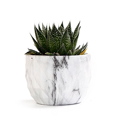 Sun-E Modern Style Marbling Ceramic Flower Pot Succulent/Cactus Pl...
