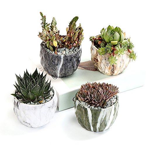 Sun-E Modern Style Marbling Ceramic Flower Pot Succulent/Cactus Pl...