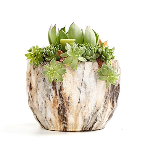 Sun-E Modern Style Marbling Ceramic Flower Pot Succulent/Cactus Pl...