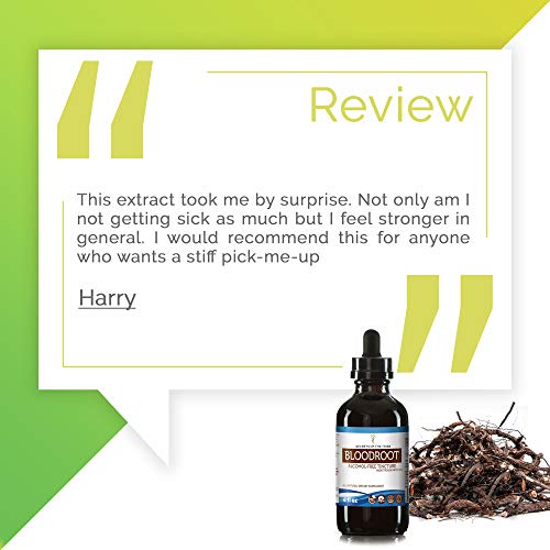 Bloodroot Tincture Alcohol Extract, Wildcrafted Bloodroot Sanguin...