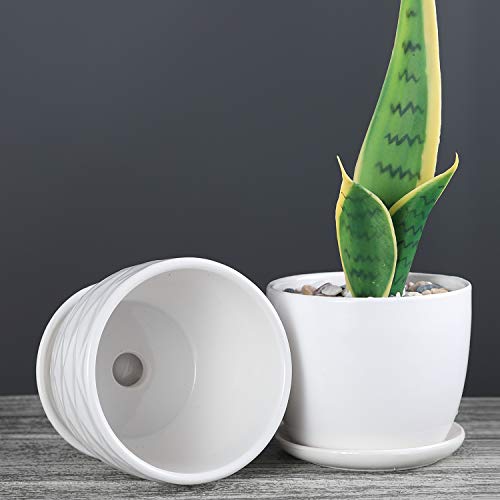 Plant Pots - 4.7 Inch Cylinder Ceramic Planters with Connected Sau...