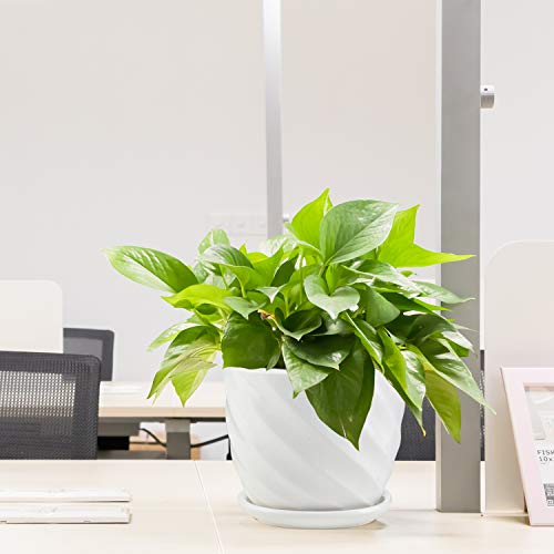 Plant Pots - 4.7 Inch Cylinder Ceramic Planters with Connected Sau...