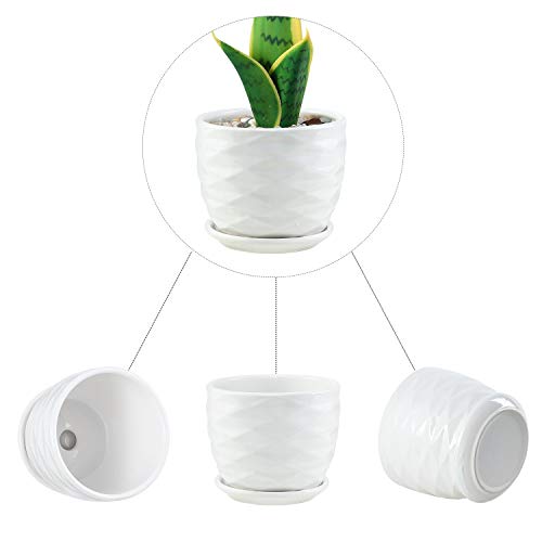 Plant Pots - 4.7 Inch Cylinder Ceramic Planters with Connected Sau...