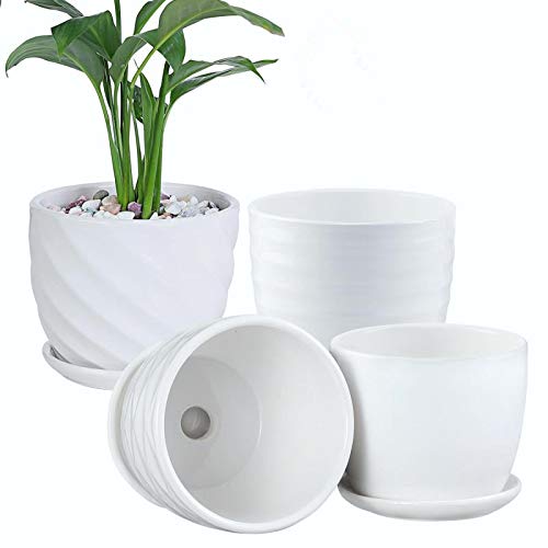 Plant Pots - 4.7 Inch Cylinder Ceramic Planters with Connected Sau...