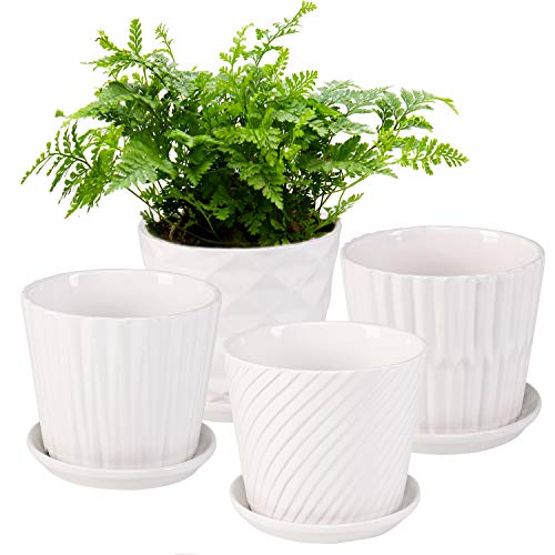 Plant Pots - 5.5 Inch Cylinder Ceramic Planters with Connected Sau...