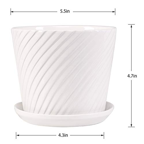 Plant Pots - 5.5 Inch Cylinder Ceramic Planters with Connected Sau...