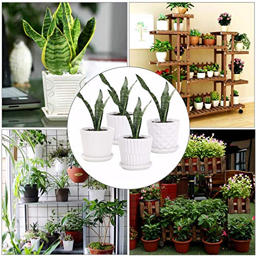 Plant Pots - 5.5 Inch Cylinder Ceramic Planters with Connected Sau...