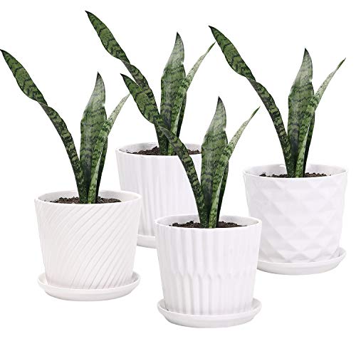 Plant Pots - 5.5 Inch Cylinder Ceramic Planters with Connected Sau...