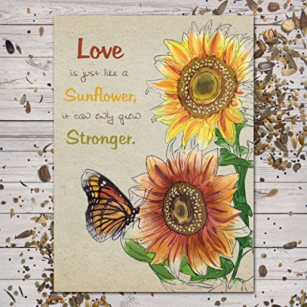 Set of 25 Sunflower Seed Packet Favors F05 Love Is Just Like A S...