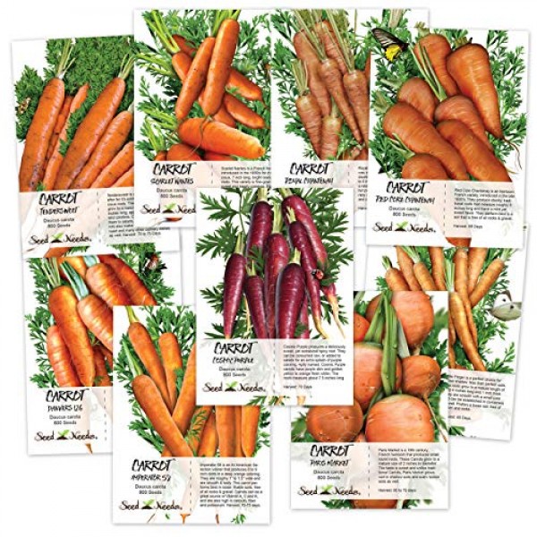 Carrot Lovers Seed Collection 9 Individual Seed Packets Non-GMO ...