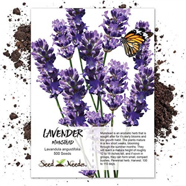 Lavender Herb Seed Packet Collection 3 Varieties of Lavender Ope...