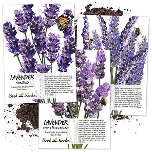 Lavender Herb Seed Packet Collection 3 Varieties of Lavender Ope...