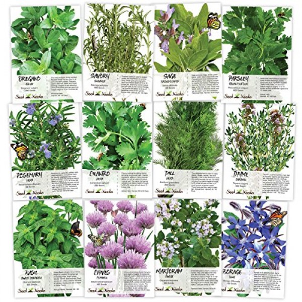 Non-GMO Culinary Herb Seed Collection, 12 Individual Seed Packets ...