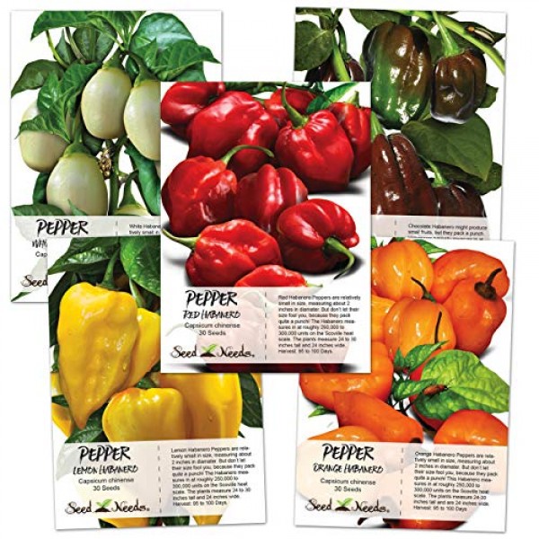 Seed Needs, Habanero Seed Collection 5 Individual Packets Non-GMO