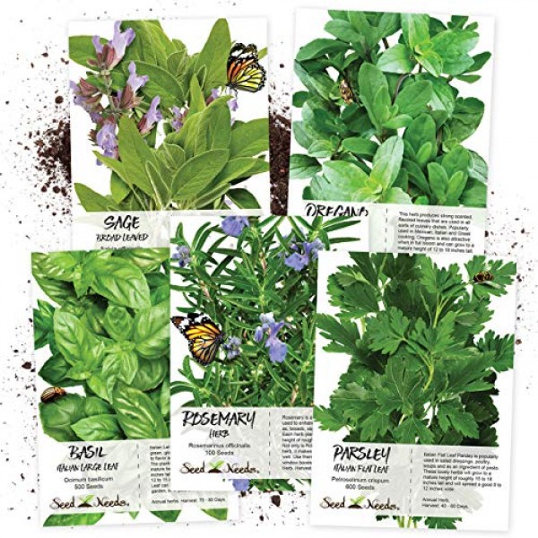 Seed Needs Italian Herb Seed Collection, Non-GMO Basil, Rosemary,...