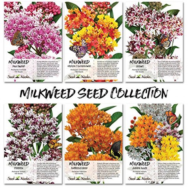 Seed Needs Milkweed Seed Collection 6 Individual Seed Packets Op...