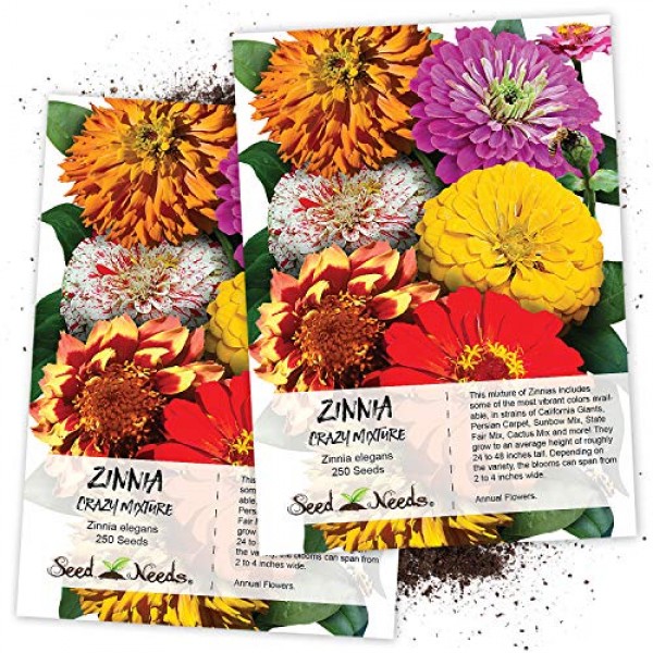 Seed Needs, Zinnia Crazy Mixture Zinnia elegans Twin Pack of 250...
