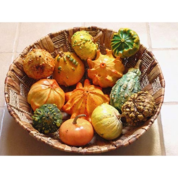 Pumpkin Ornamental Seeds Mix Giant Vegetable for Planting Decorati...