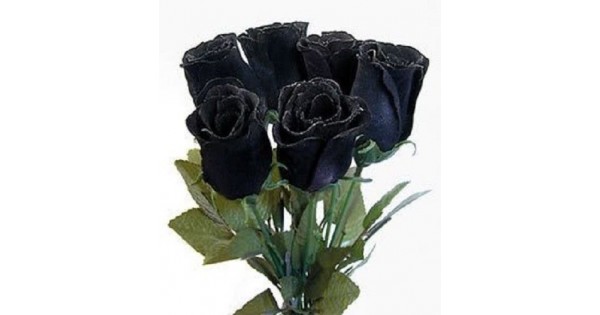 5 BLACK ROSE Rosa Bush Shrub Perennial Flower Seeds *Comb S/H 