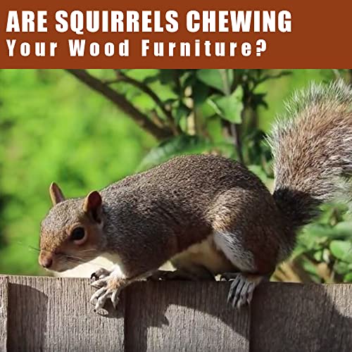 SEEKBIT 15 Pack Squirrel Repellent Peppermint | Chipmunk Rodent Mi...