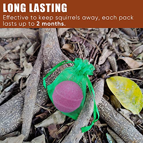 SEEKBIT 15 Pack Squirrel Repellent Peppermint | Chipmunk Rodent Mi...