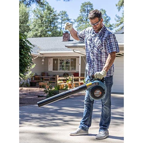 SENIX BL4QL-L 26.5cc 4 Stroke Gas Powered Leaf Blower with Auto-Ch...