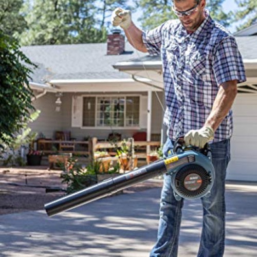 SENIX BL4QL-L 26.5cc 4 Stroke Gas Powered Leaf Blower with Auto-Ch...