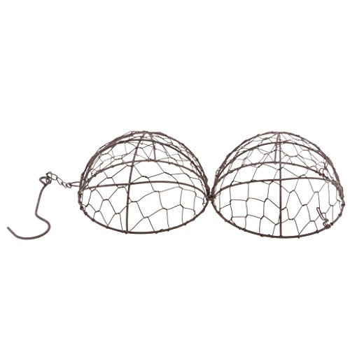 Serenable 2Pcs Rustic Ball Metal Cactus Planter Wire Wreath Frame ...