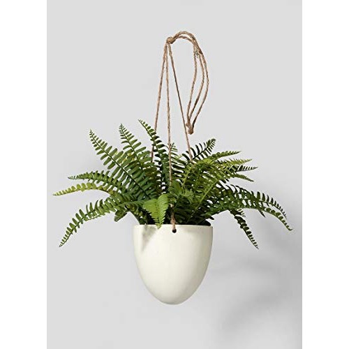 Serene Spaces Living Small Boston Fern in Hanging Pot, Fake Hangin...