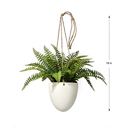 Serene Spaces Living Small Boston Fern in Hanging Pot, Fake Hangin...