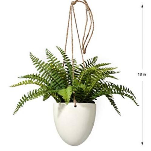 Serene Spaces Living Small Boston Fern in Hanging Pot, Fake Hangin...